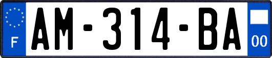 AM-314-BA
