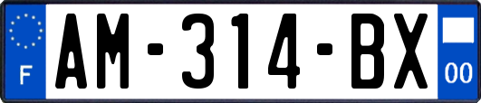 AM-314-BX