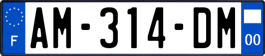 AM-314-DM