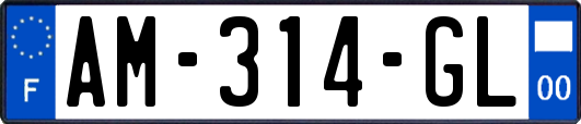 AM-314-GL