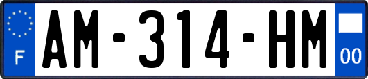 AM-314-HM