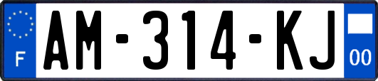 AM-314-KJ