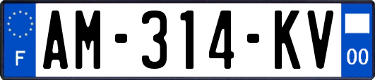 AM-314-KV