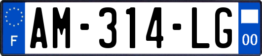 AM-314-LG