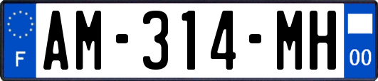 AM-314-MH
