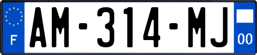 AM-314-MJ
