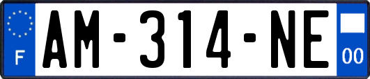 AM-314-NE
