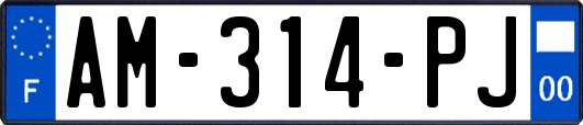 AM-314-PJ