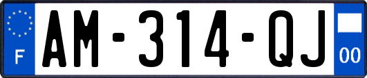 AM-314-QJ