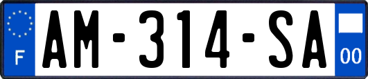 AM-314-SA