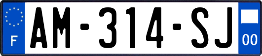 AM-314-SJ