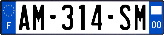 AM-314-SM