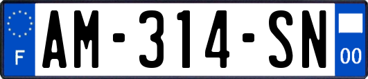 AM-314-SN