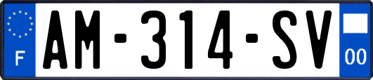 AM-314-SV