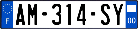 AM-314-SY