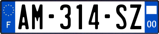 AM-314-SZ