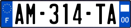 AM-314-TA