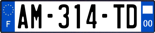 AM-314-TD