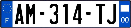 AM-314-TJ
