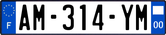 AM-314-YM