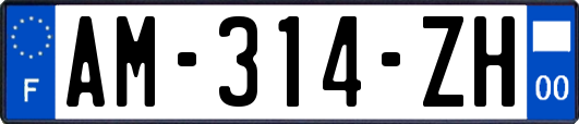 AM-314-ZH