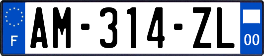 AM-314-ZL