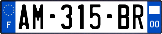 AM-315-BR