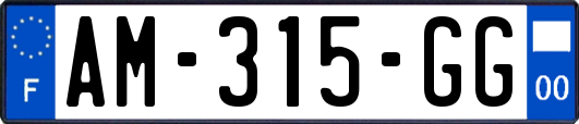 AM-315-GG