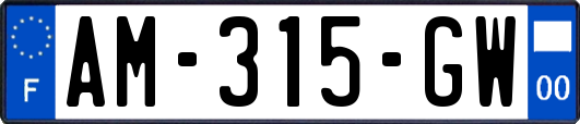 AM-315-GW
