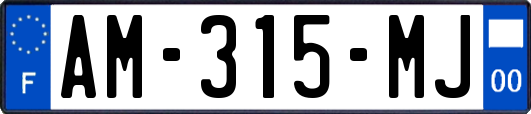 AM-315-MJ