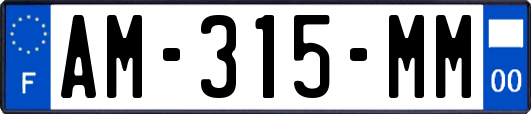 AM-315-MM