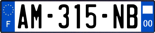 AM-315-NB