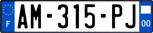 AM-315-PJ