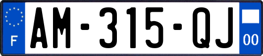 AM-315-QJ