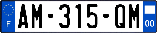 AM-315-QM