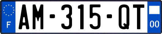 AM-315-QT