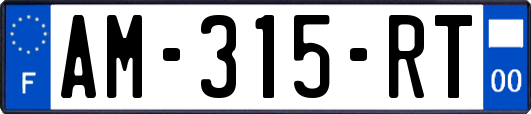 AM-315-RT