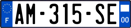 AM-315-SE