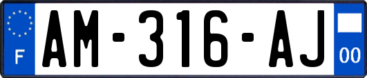 AM-316-AJ
