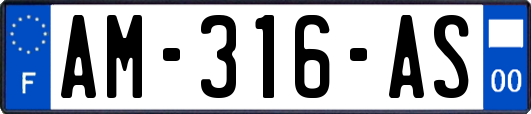 AM-316-AS