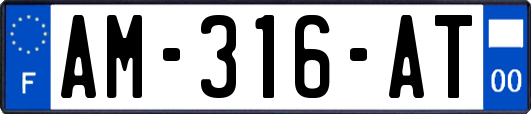 AM-316-AT