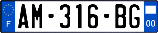 AM-316-BG