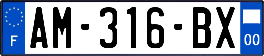 AM-316-BX