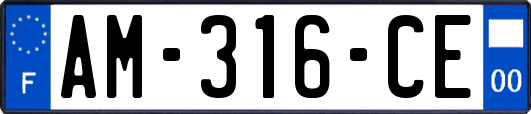 AM-316-CE