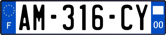 AM-316-CY