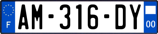 AM-316-DY