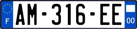 AM-316-EE