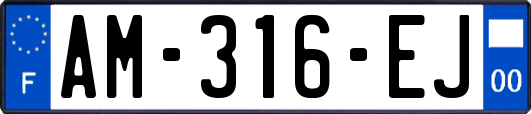 AM-316-EJ