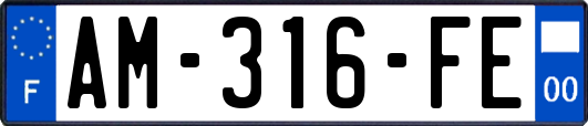 AM-316-FE