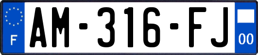 AM-316-FJ